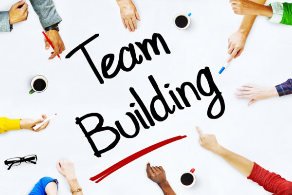 Tổ chức Team building